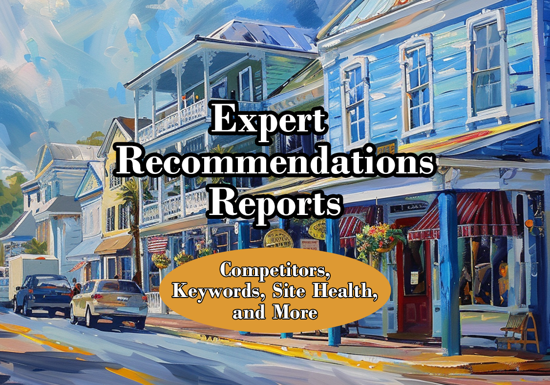 Expert recommendations and reporting for local businesses.