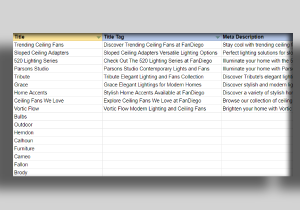 A spreadsheet that shows meta titles and descriptions for a client.